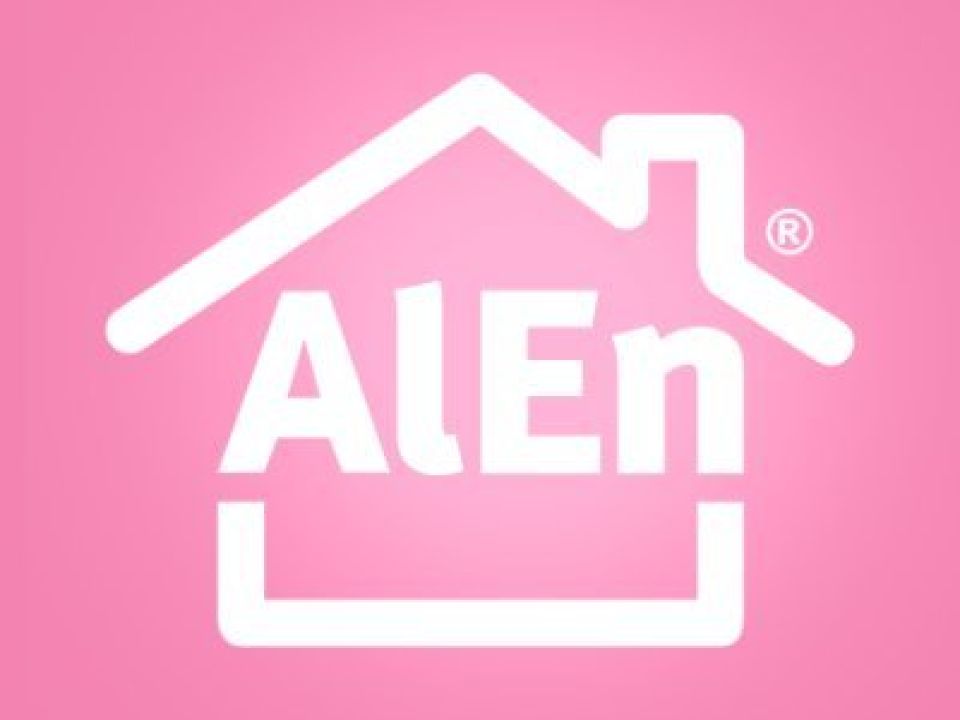Grupo Alen