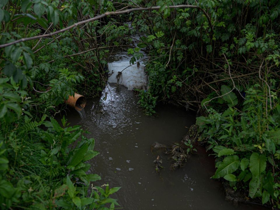 El Rio amarillo