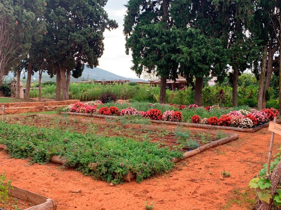 Huerta agrodinámica 