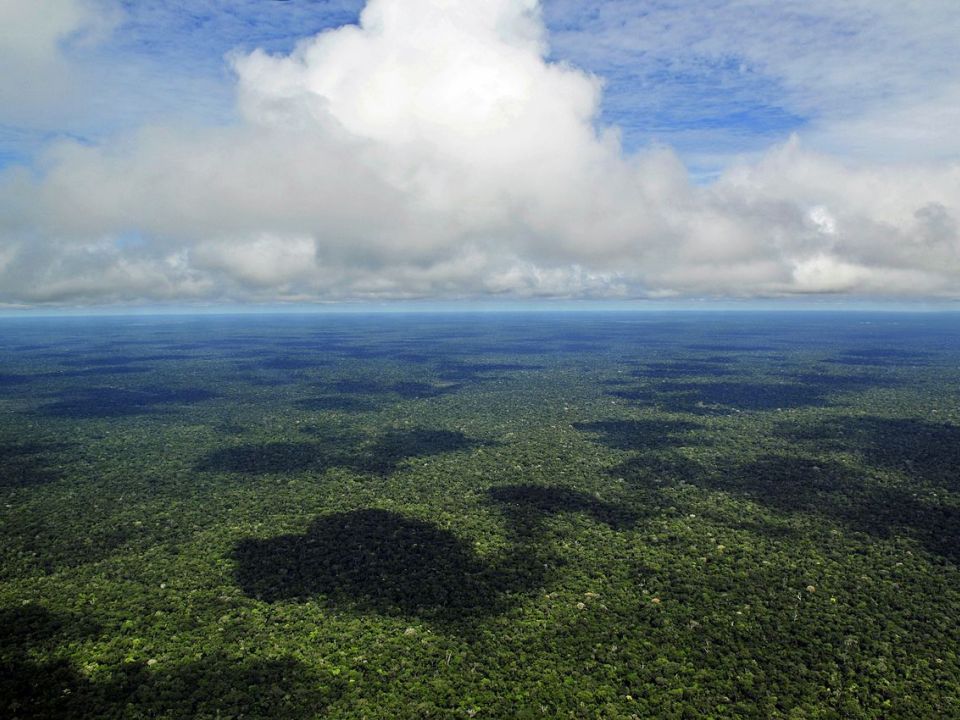 Amazonía