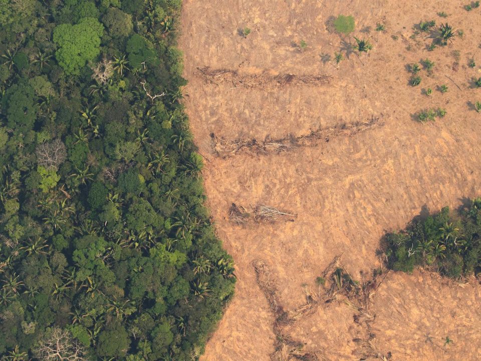 Deforestación en la Amazonía