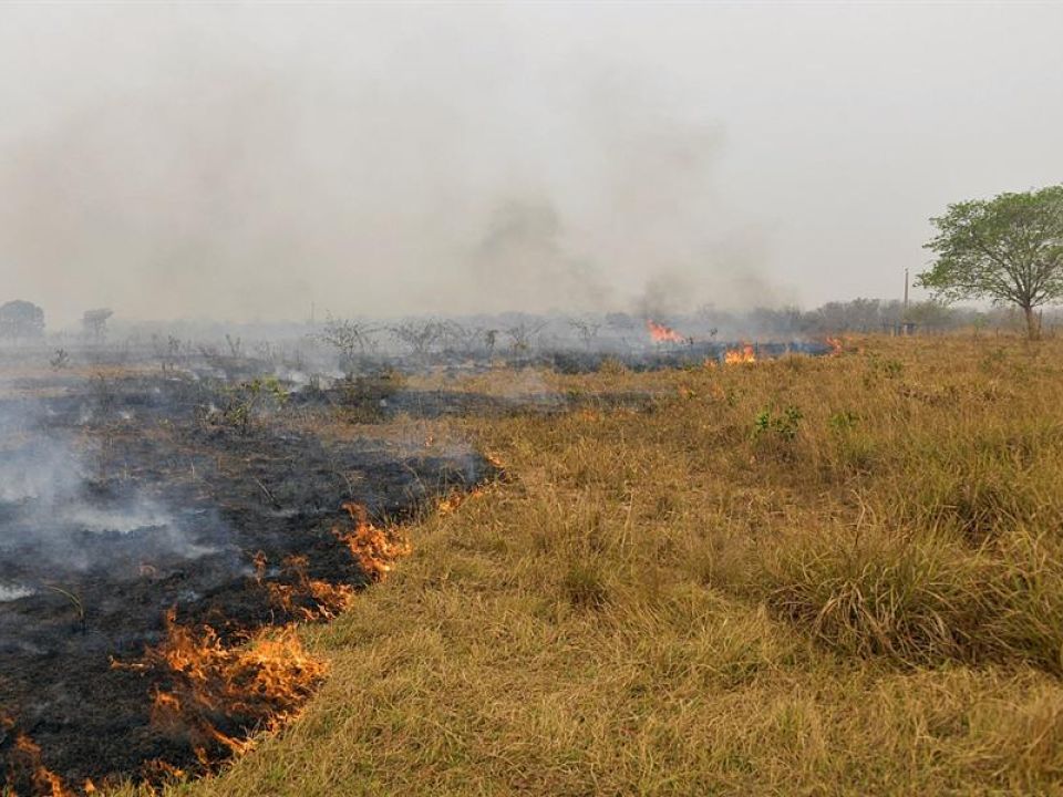 Incendio en la Amazonía