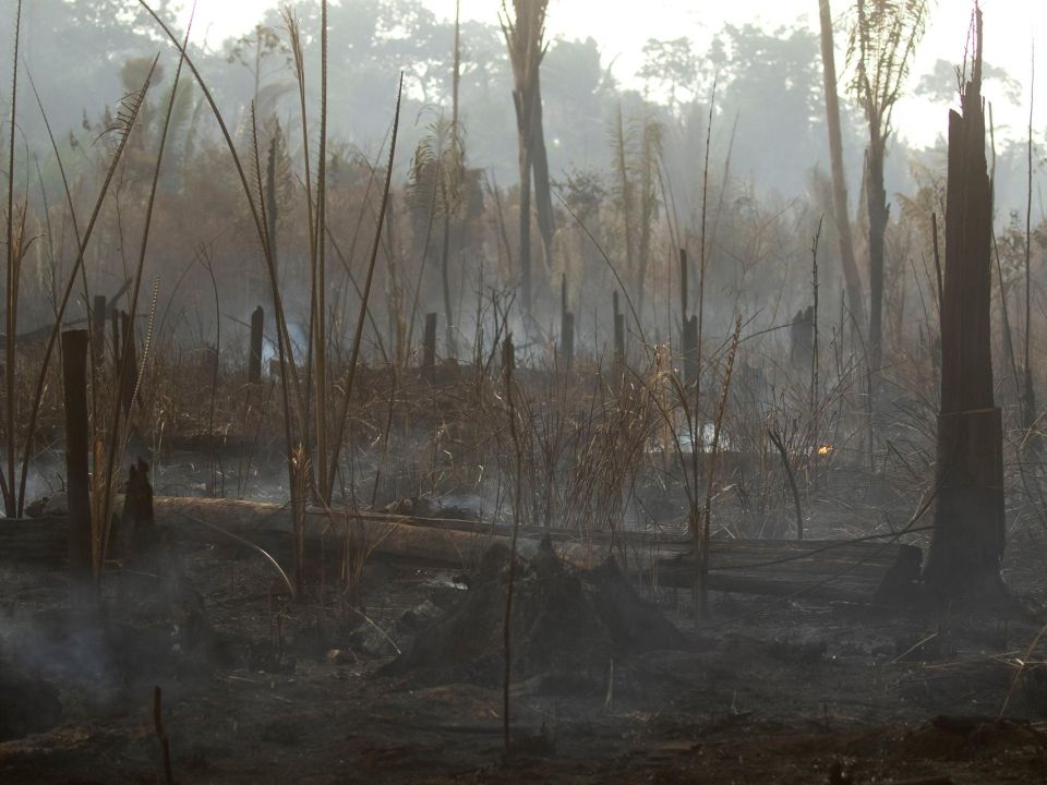 Incendio en la Amazonía