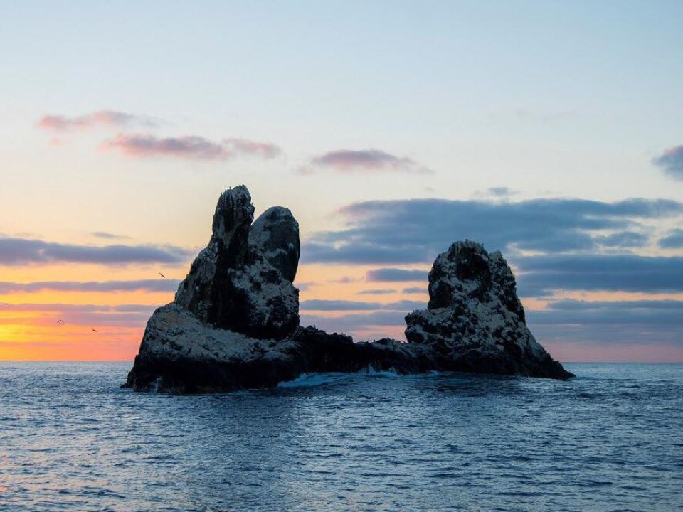 Parque Nacional Revillagigedo