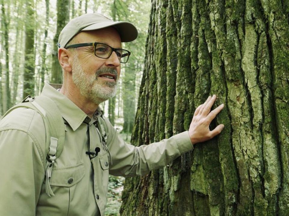 Peter Wohlleben