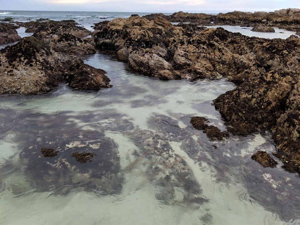 Costa y mar