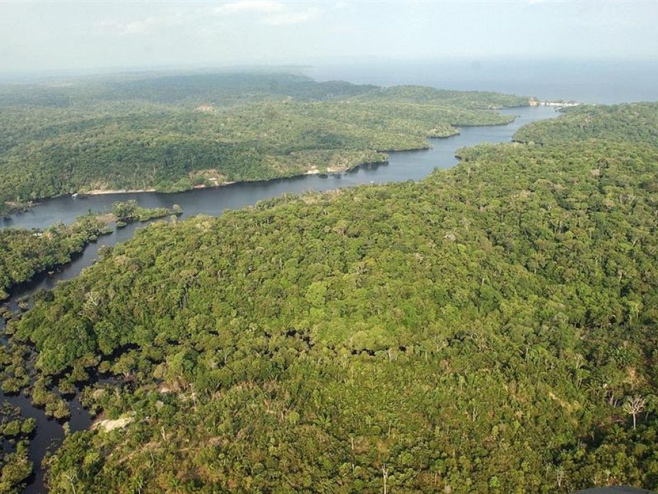 Amazonía brasileña