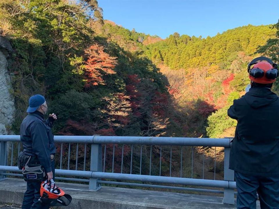 Bosque de Kameyama