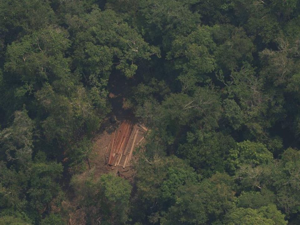 Deforestación de la Amazonía