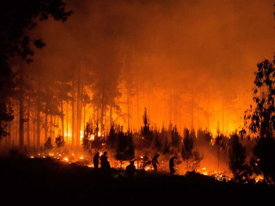 Incendio en Chile