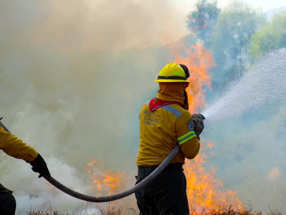 Incendio forestal