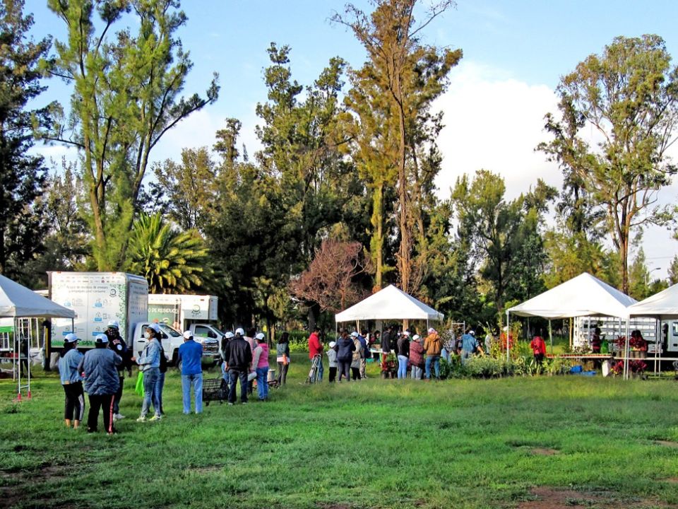 Mercado el trueque