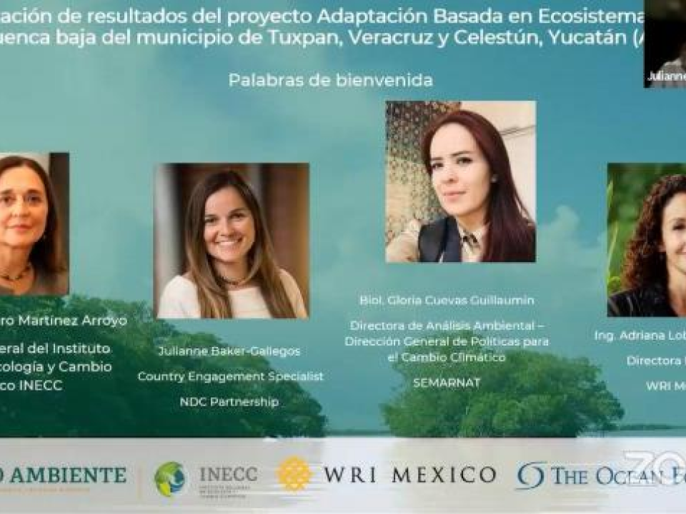 WRI México