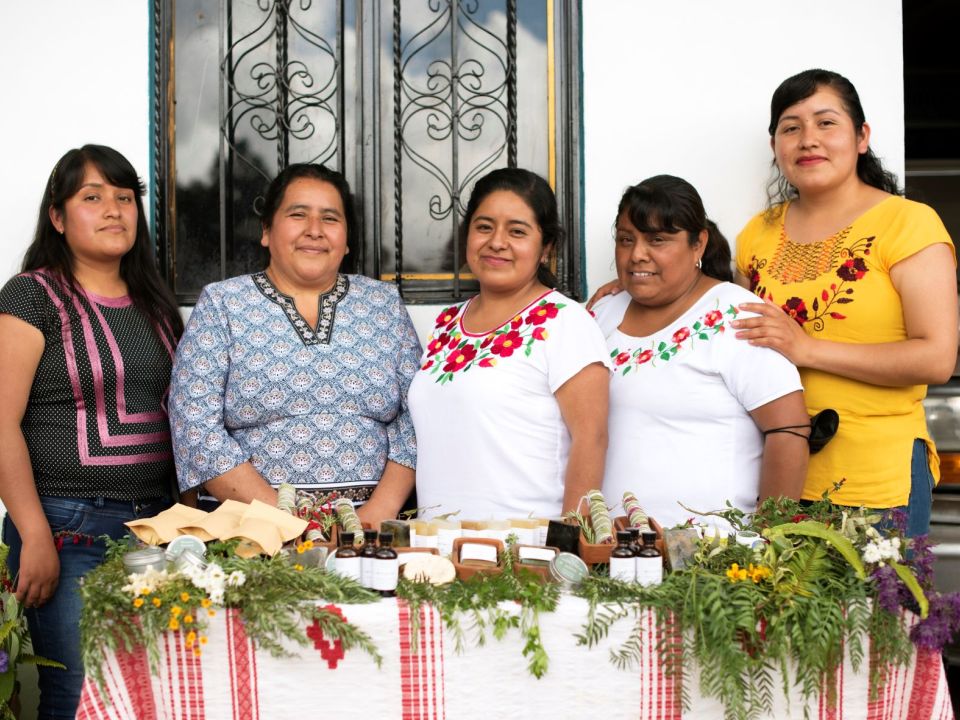 Agricultura regenerativa en Oaxaca