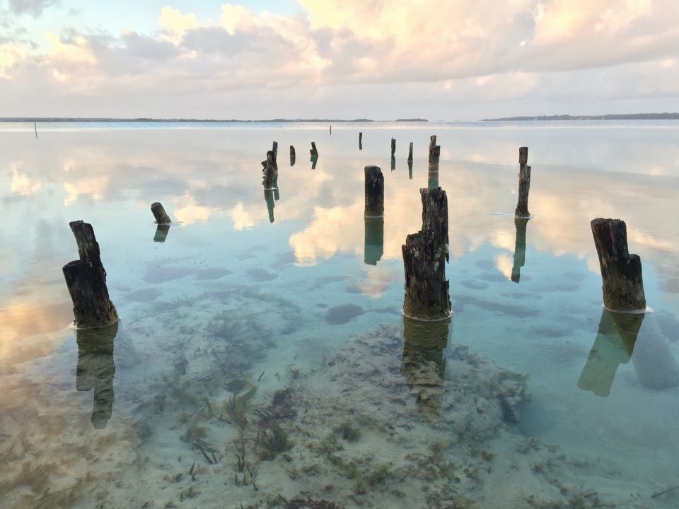 Bacalar