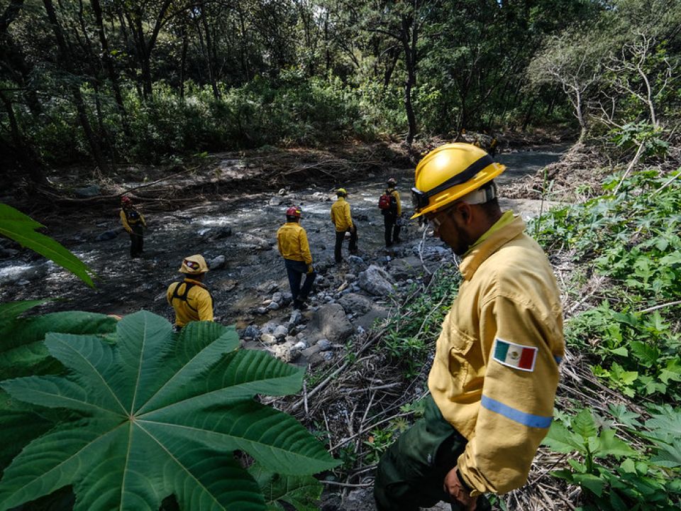 Brigada forestal en Jalisco