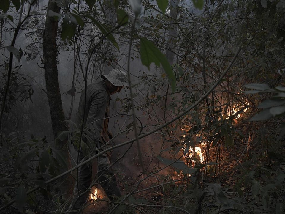 Incendio en  la Amazonía