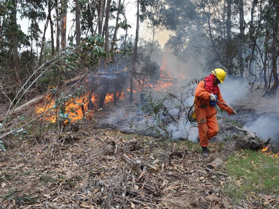 Incendio en Uruguay