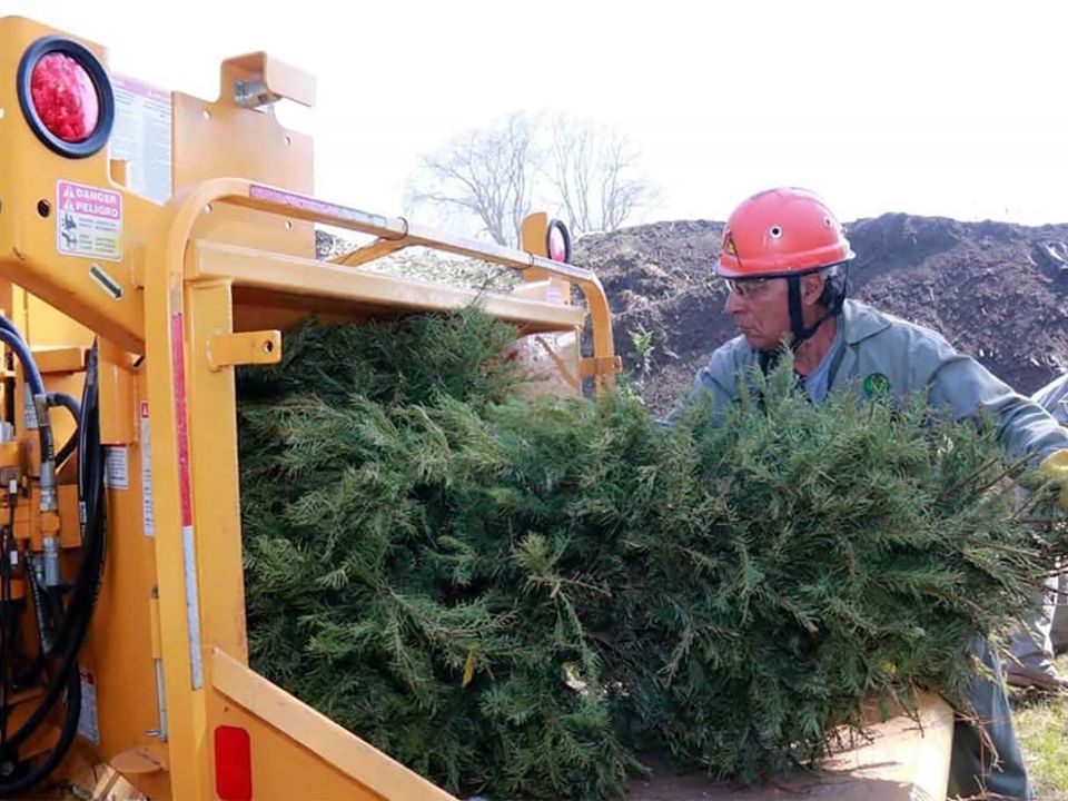 Árbol de Navidad