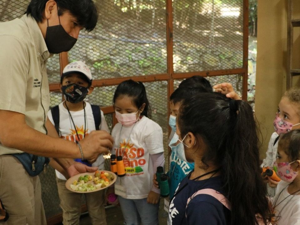 Educación ambiental. Chiapas