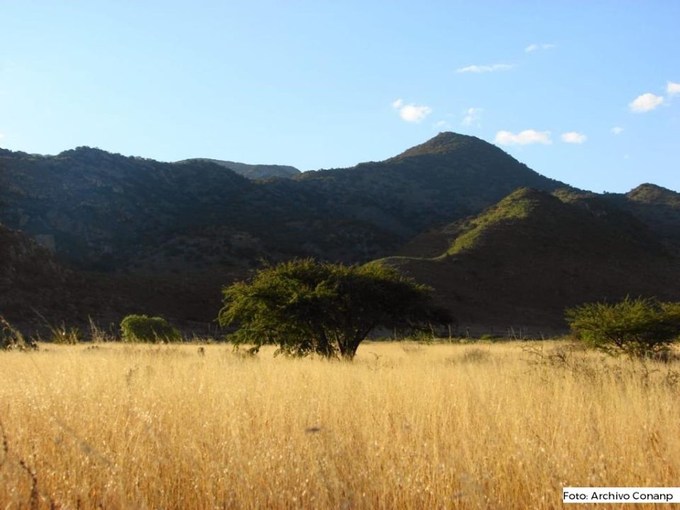 Sierra San Miguelito