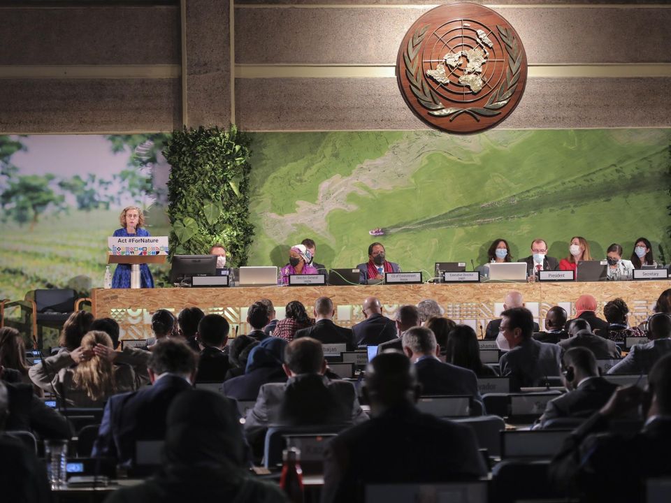 Asamblea de la ONU para el Medioambiente 