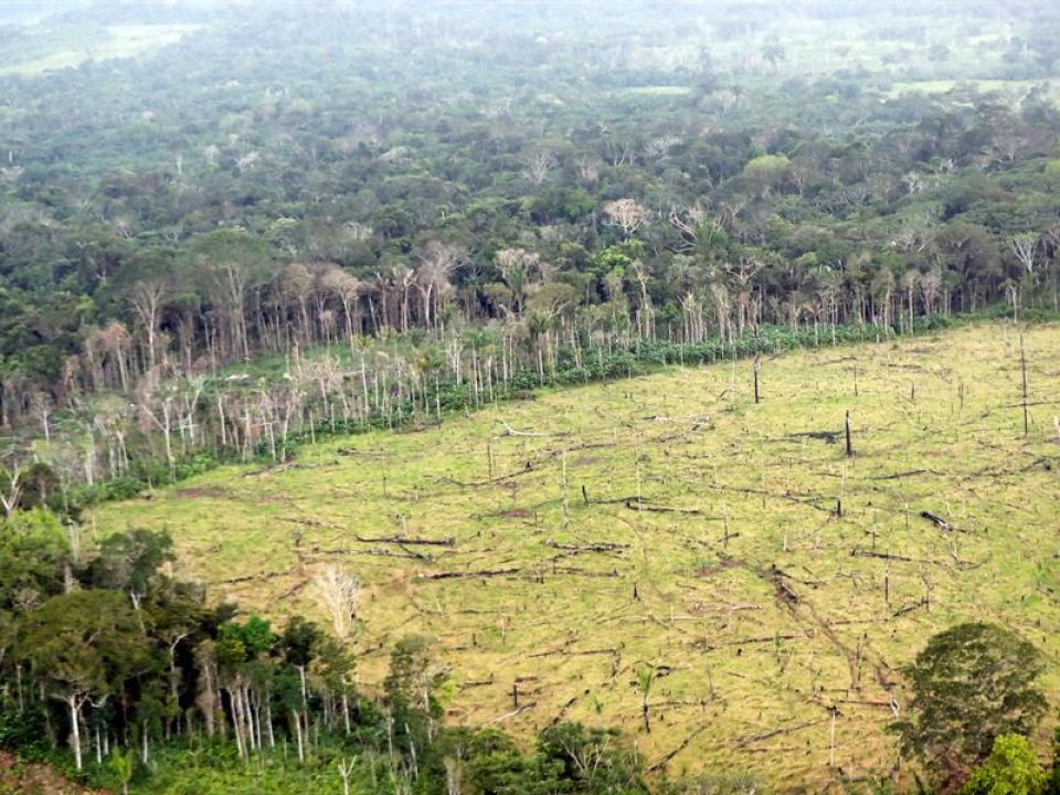 Deforestación en Colombia