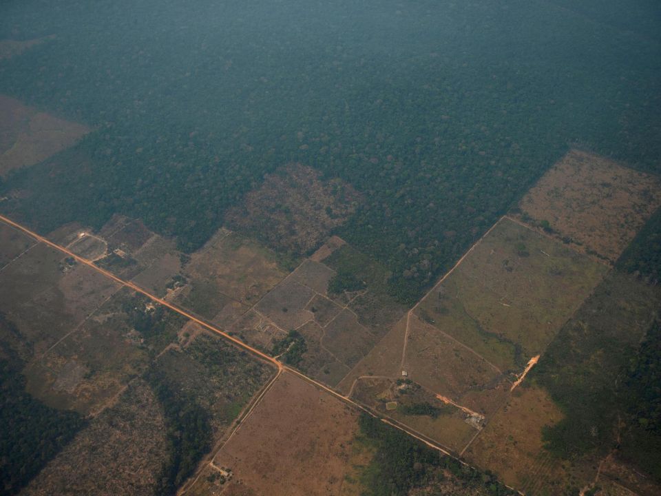 Deforestación en la Amazonía