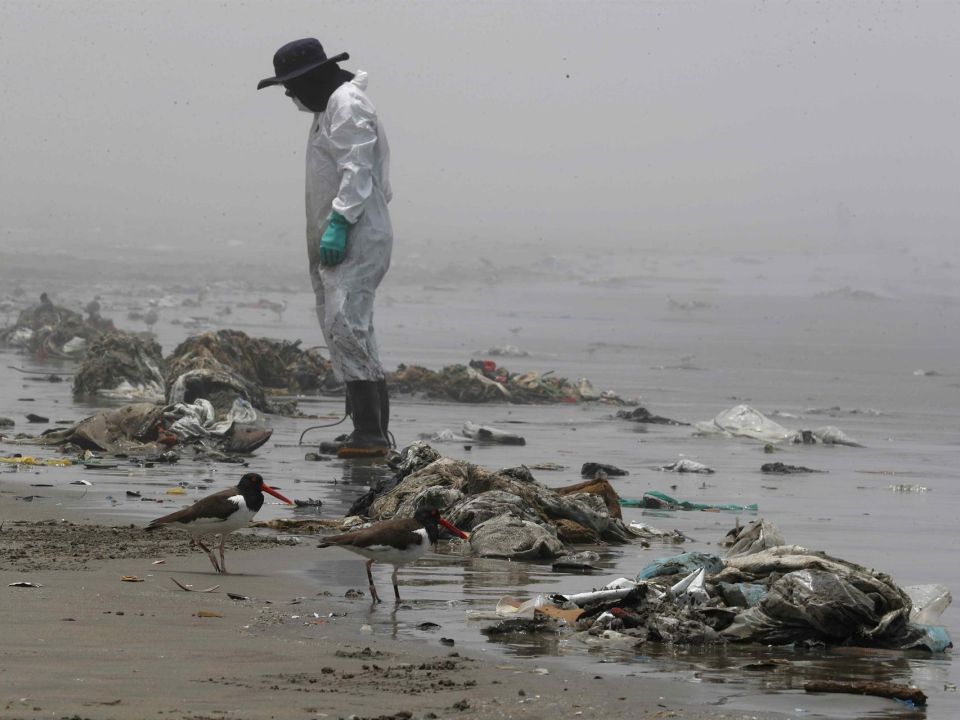 Contaminación en la playa