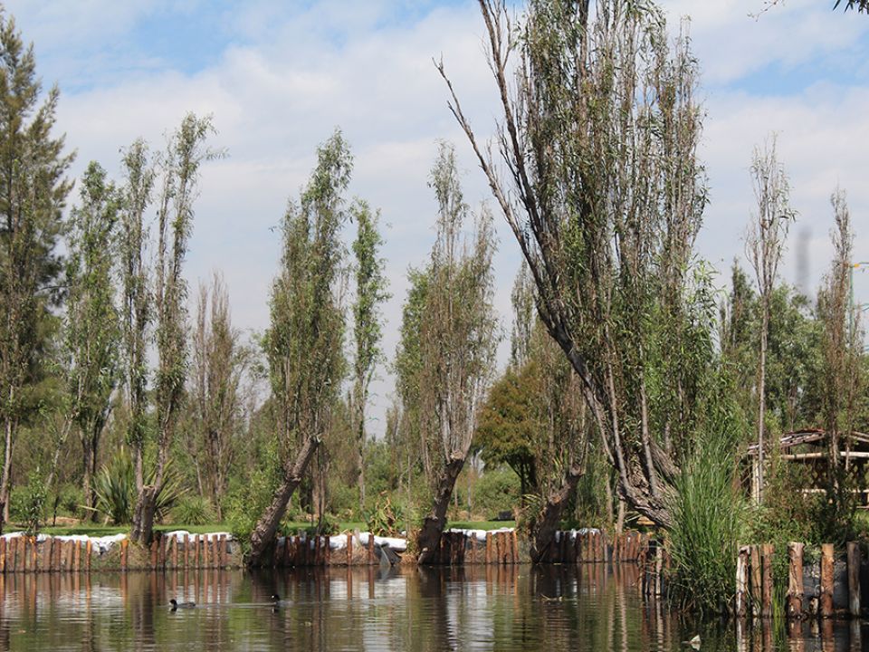 Humedales 