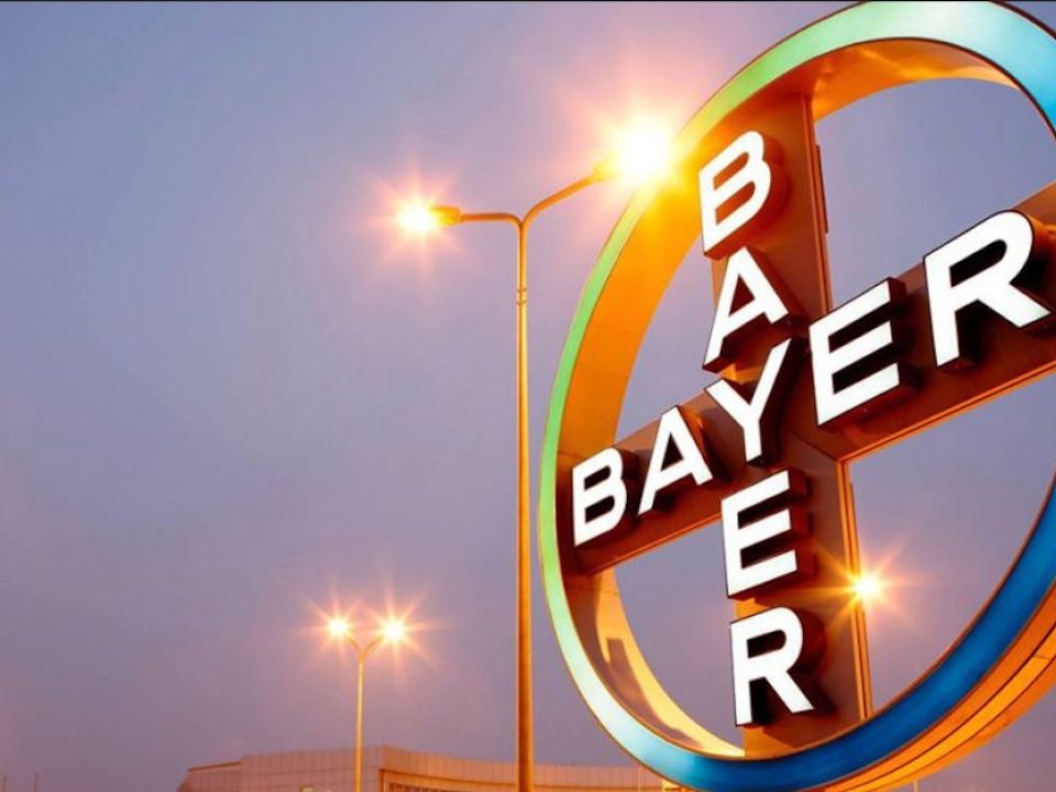 Bayer