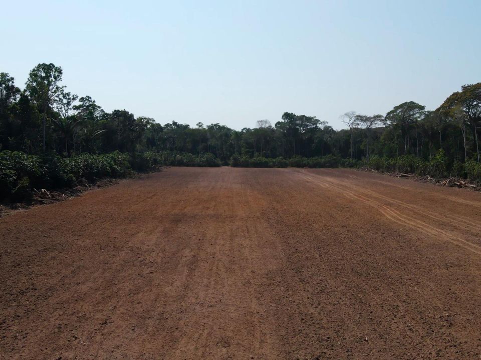 Deforestación en la Amazonía