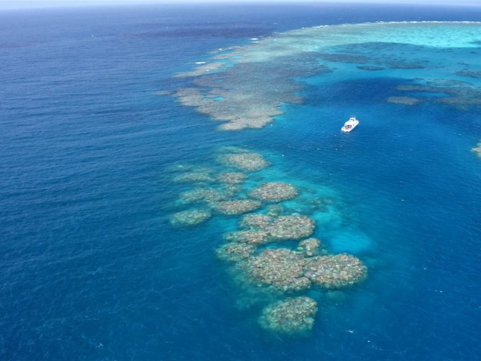 Gran Barrera de los Corales