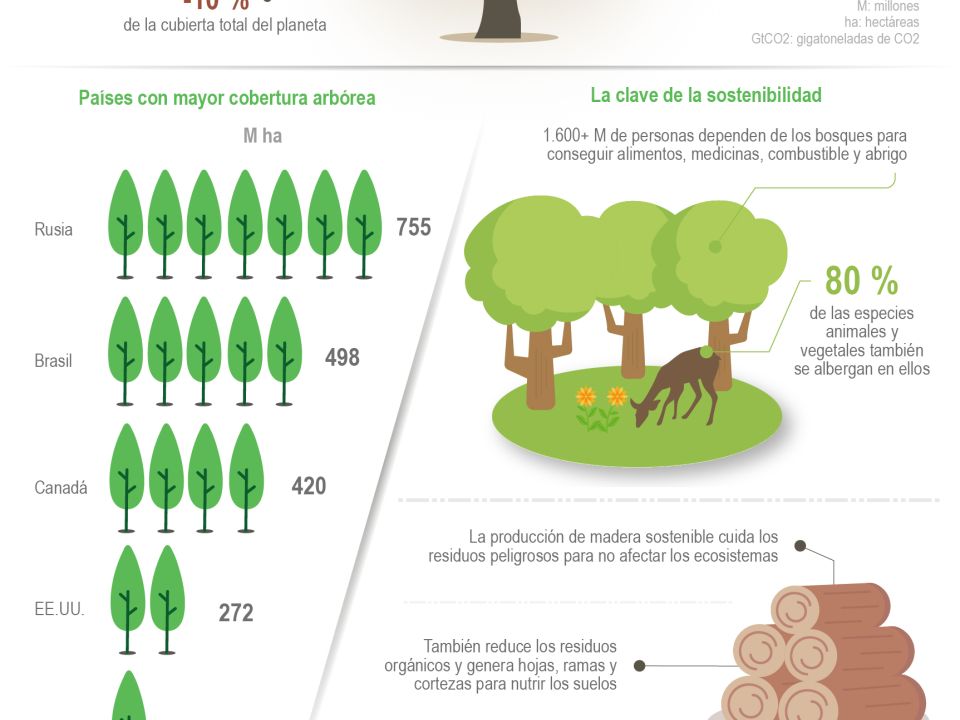 Infografía Día de los Bosques