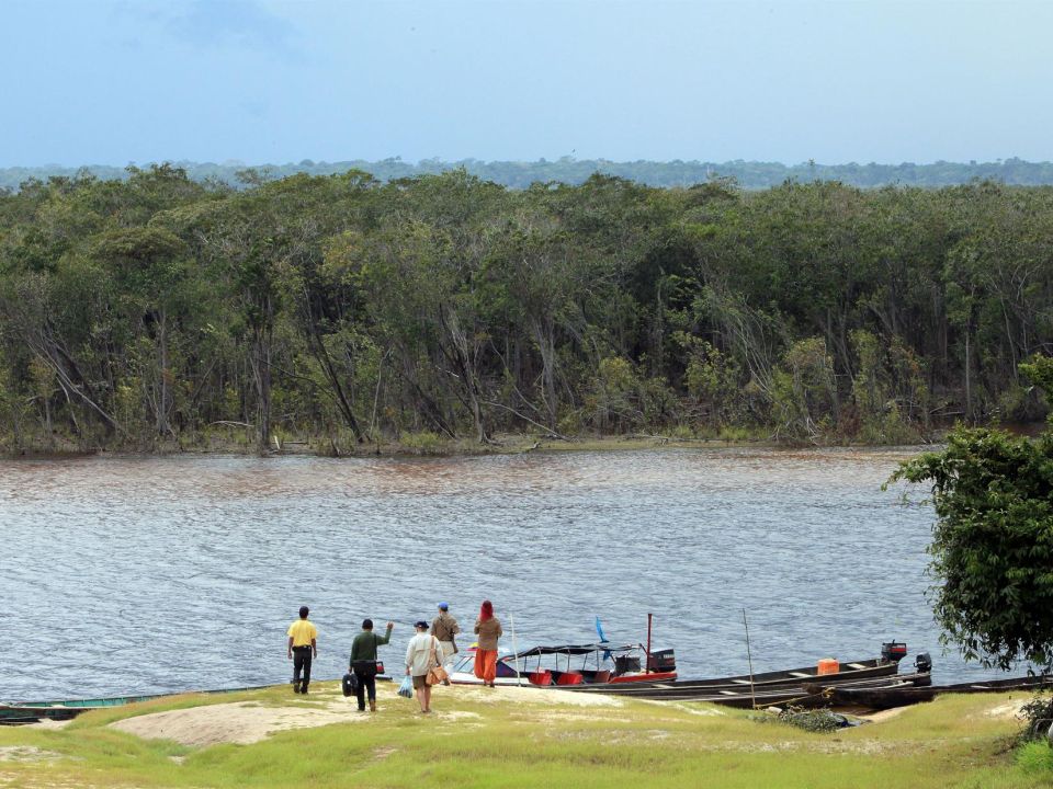 Selva en Colombia