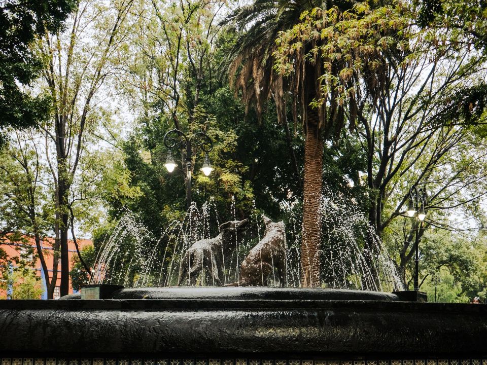 Coyoacán