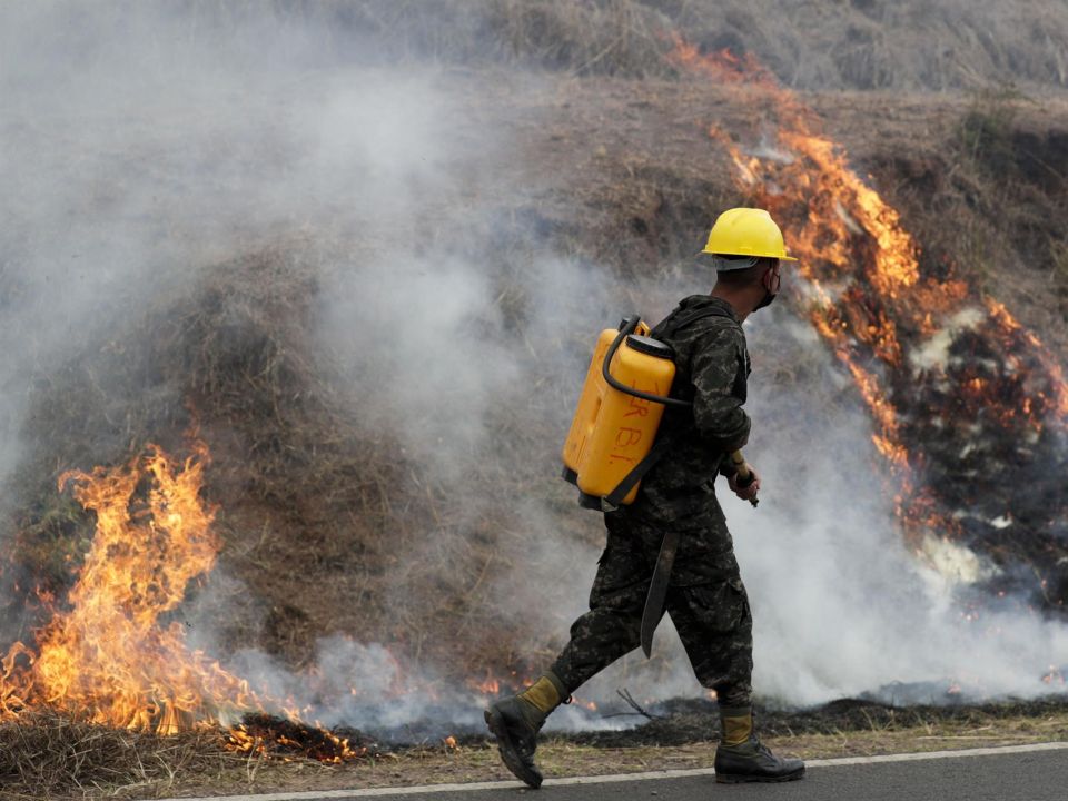 Incendio forestal 