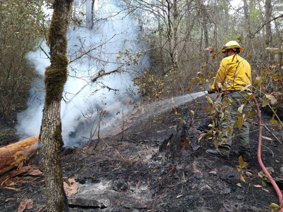 Incendio forestal. Conafor