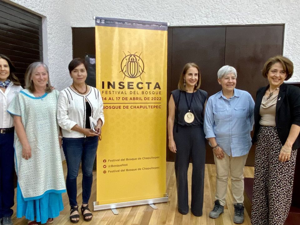 INSECTA. Festival del Bosque”