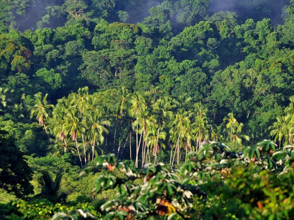 Parque Nacional Coiba