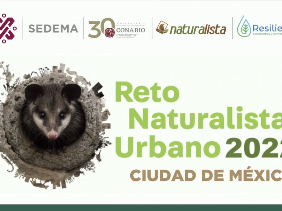 Reto Naturalista