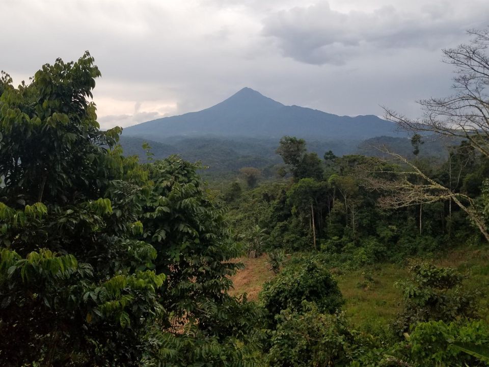 El volcán Sumaco