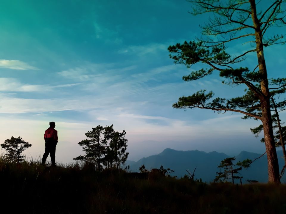 Paisaje Naturaleza