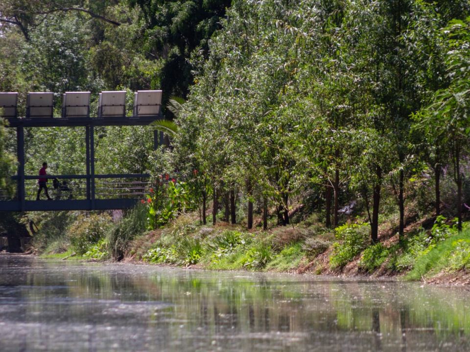 Canal Nacional Sedema