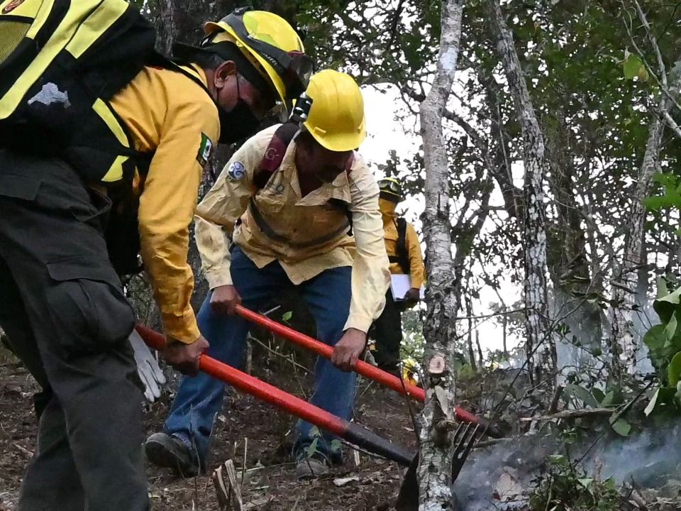 Combatiente forestal