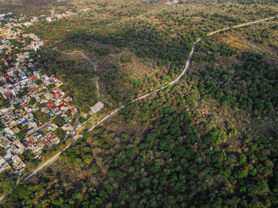 Suelo de Conservación Sedema