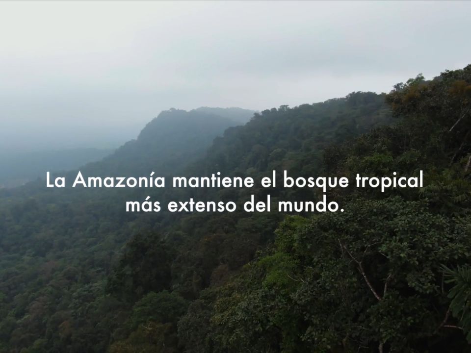 Amazonía