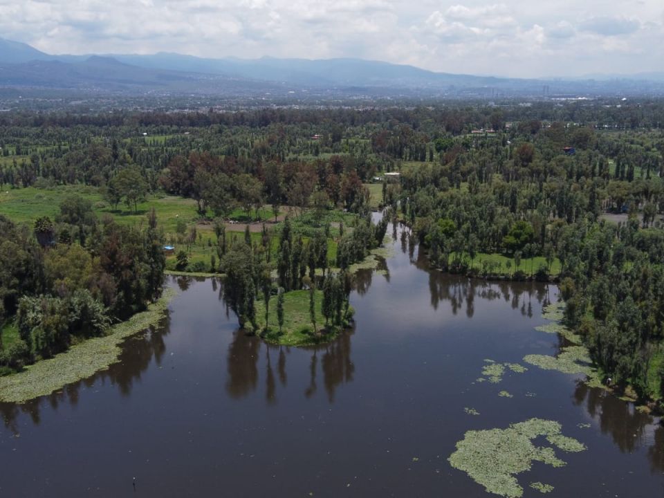 Chinampas