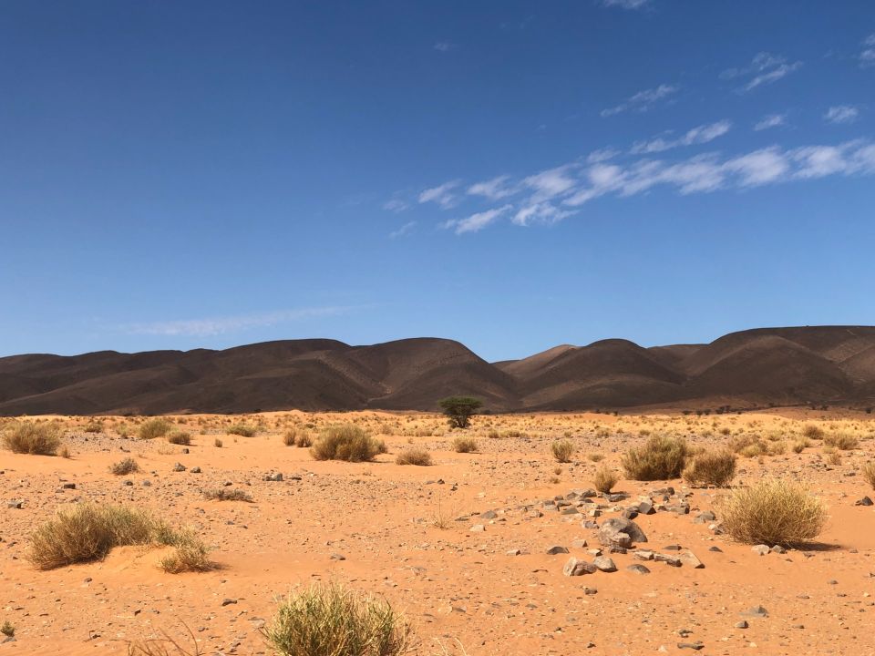 Desierto