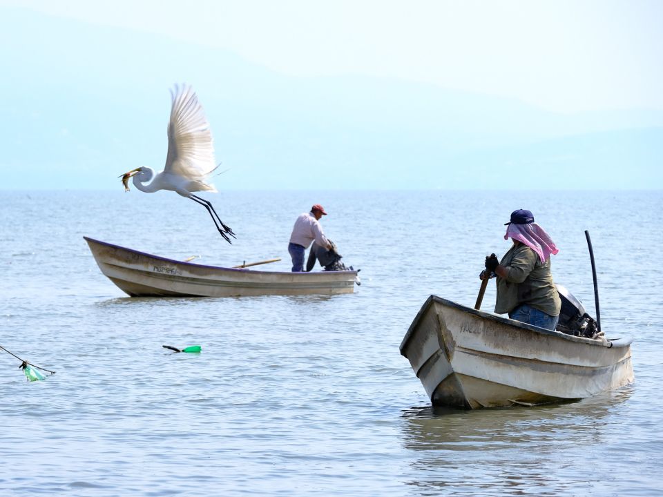 Lago de Chapala
